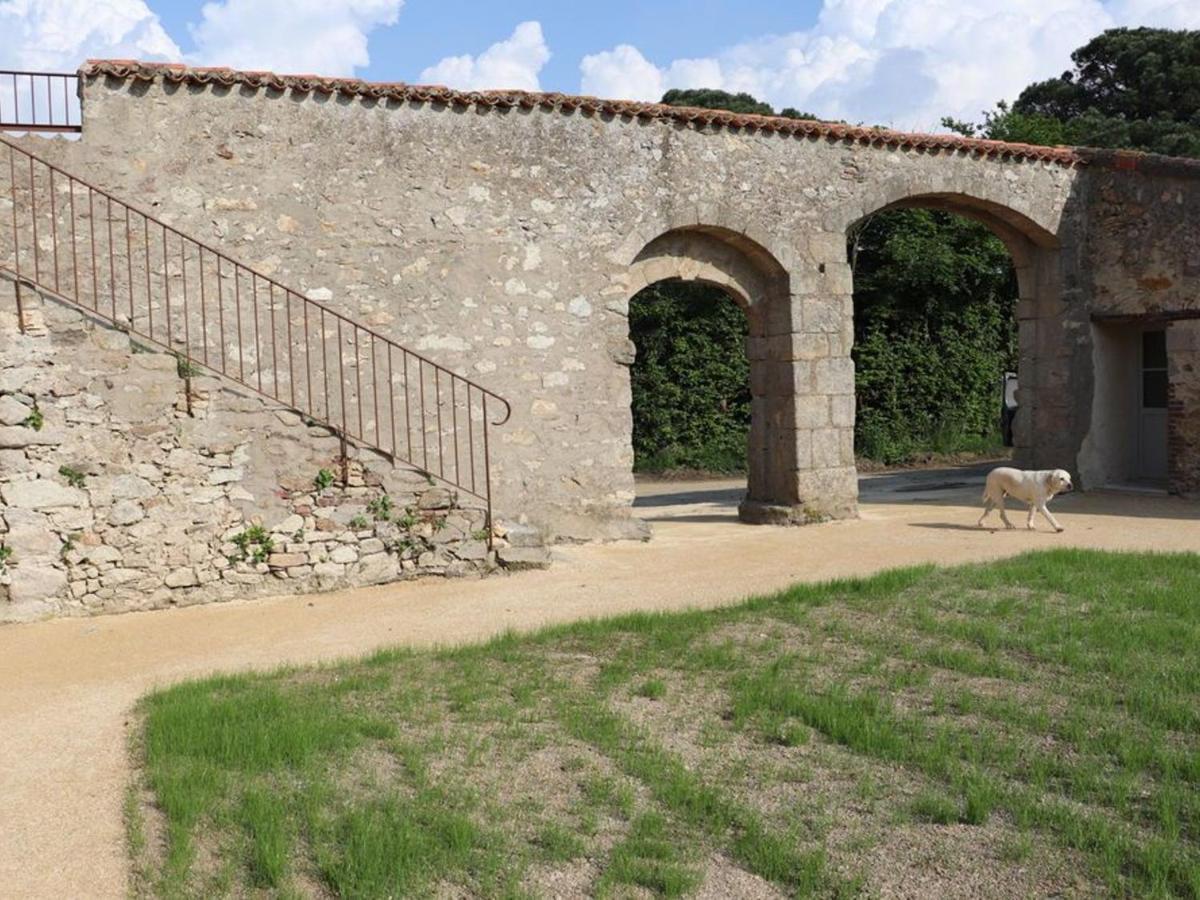Gite 18Eme Renove Avec Piscine Couverte, Terrasse, Loisirs Et Wifi - 6 Pers. - Fr-1-426-432 Les Herbiers Dış mekan fotoğraf